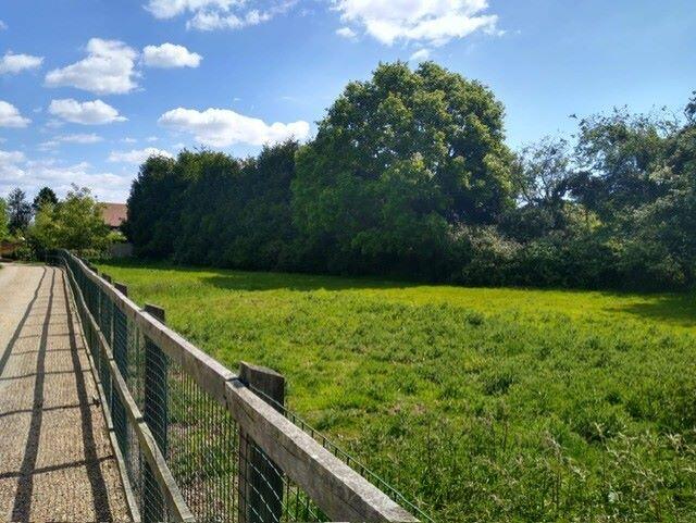 Oak Meadow, Moores Lane, East Bergholt, Colchester, Essex, CO7 6SU - More