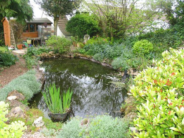 Photo of the property