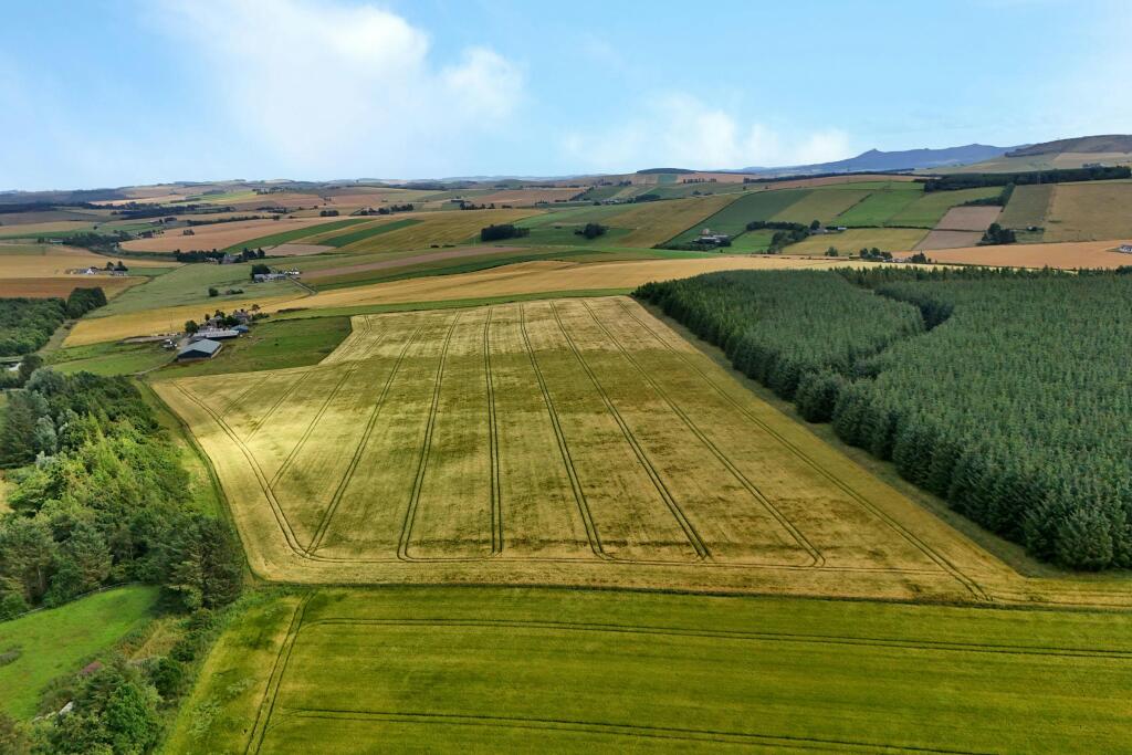 Land at Upper Gariochsford-016.JPG