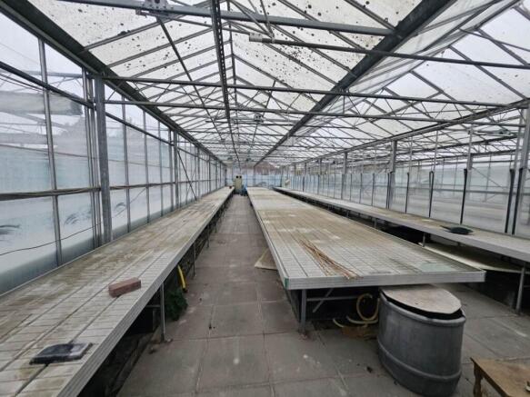Marden Nurseries (1)