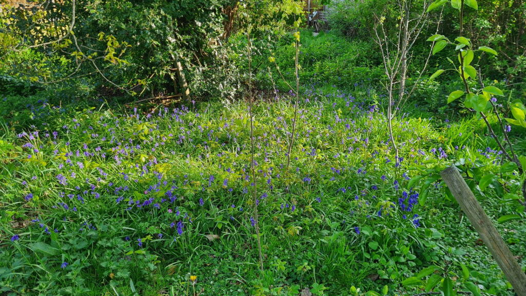 Additional image 32 of Burnham Road, Wythall, Birmingham, B47 6AS