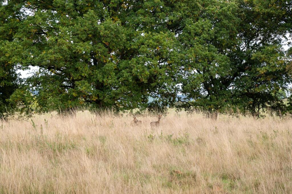 Additional image 44 of Cofton Church Lane, Cofton Hackett