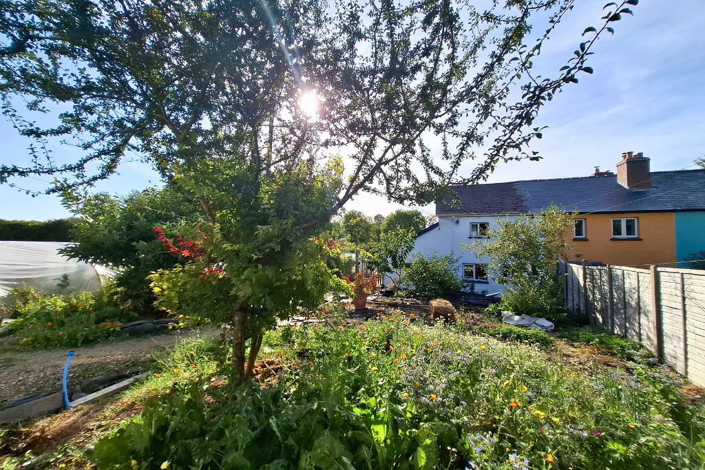 House in Swansea