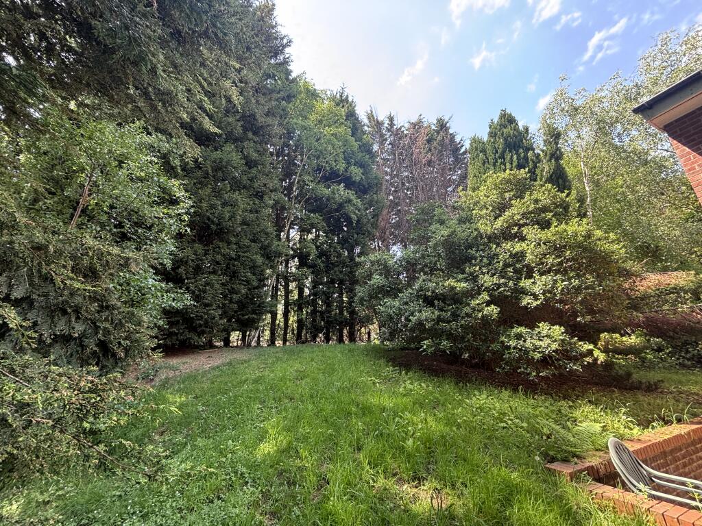 Heeley Road, Birmingham, B29 photo 5