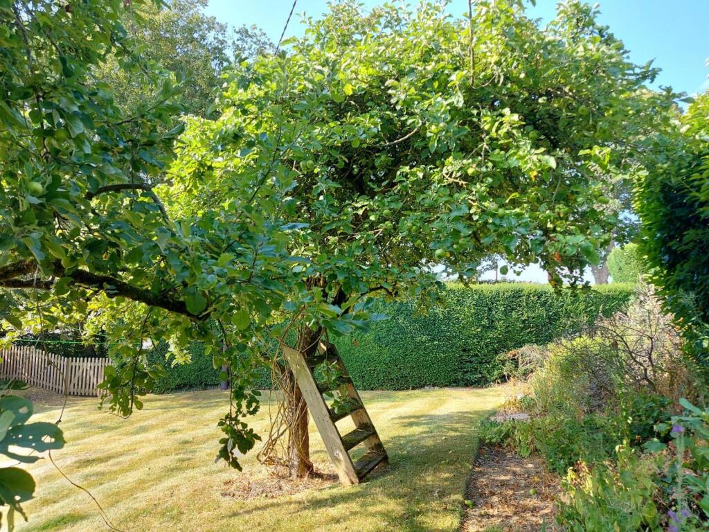 Property photo 10