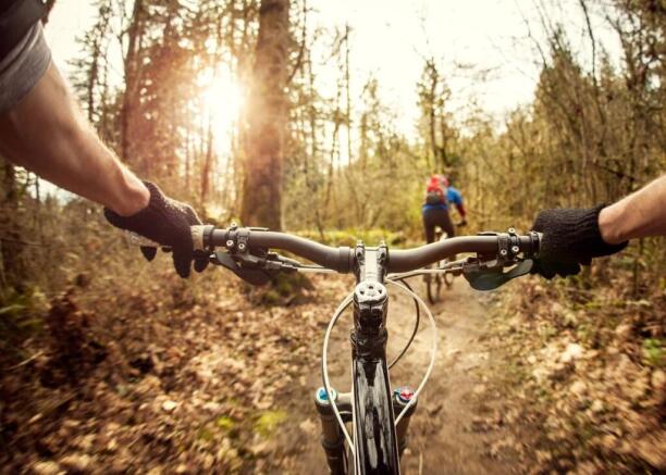 mountainbike.jpg