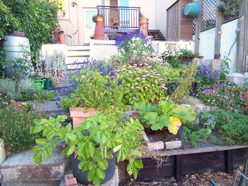 Photo of the property