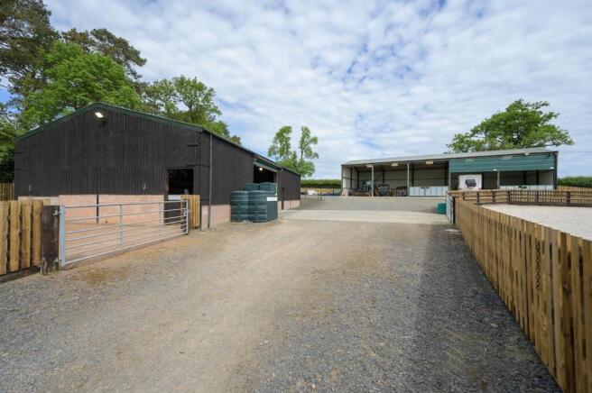 Equestrian