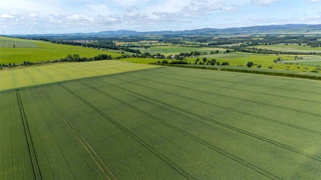 Balnacake and Netherton Farms, Brechin, Angus, DD9 photo 3