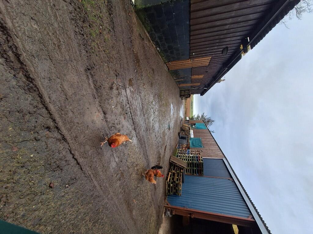 Additional image 31 of Wester Pettymarcus, Clola, Mintlaw, AB42 5AF 