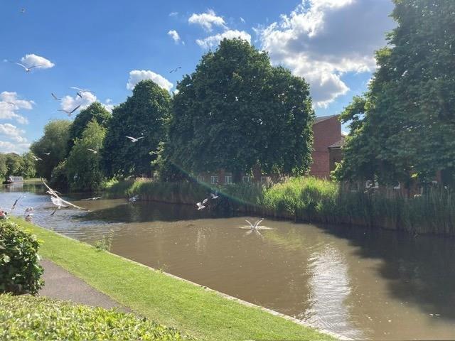 Spring Lane, Worcester photo 3