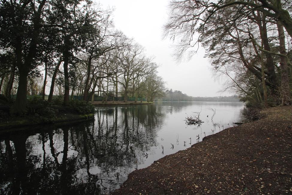 Photo of the property