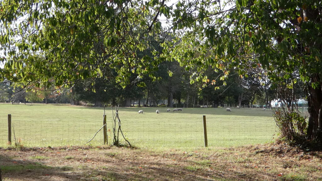 Property photo 9