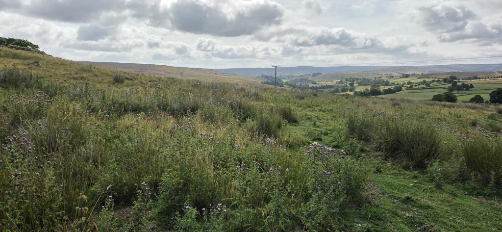 Land at Fowl Green Farm, Commondale, Whitby, North Yorkshire - View 2