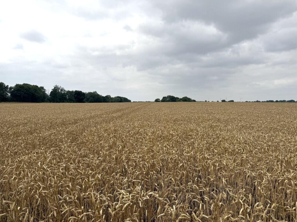 Main image of property: Doncaster, South Yorkshire, DN5