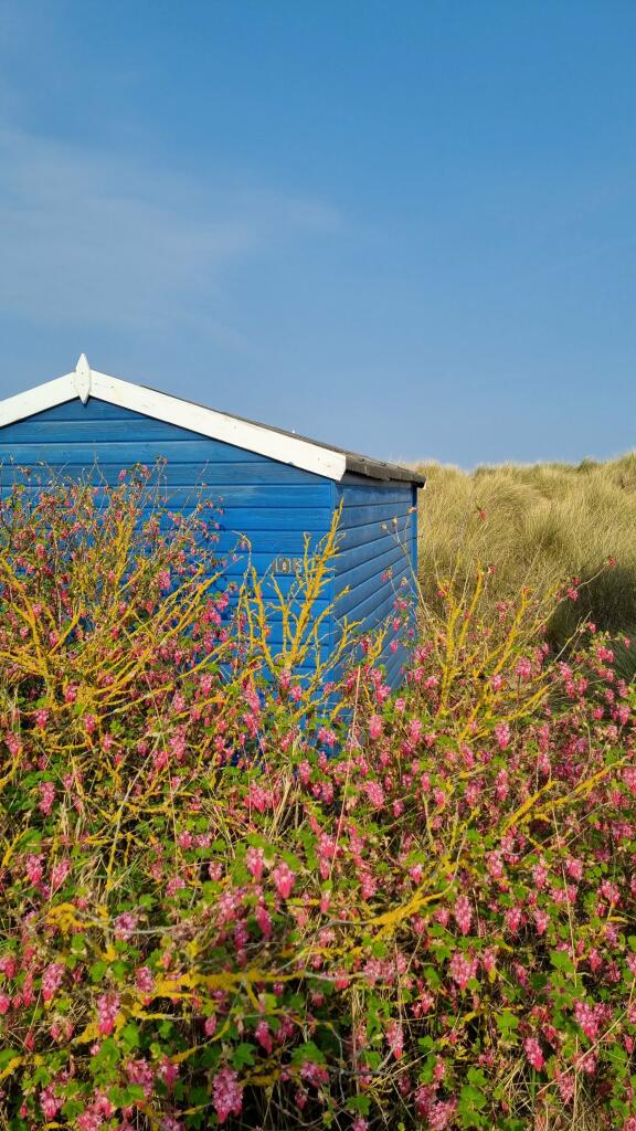 Beach Hut, Old Hunstanton Beach photo 5