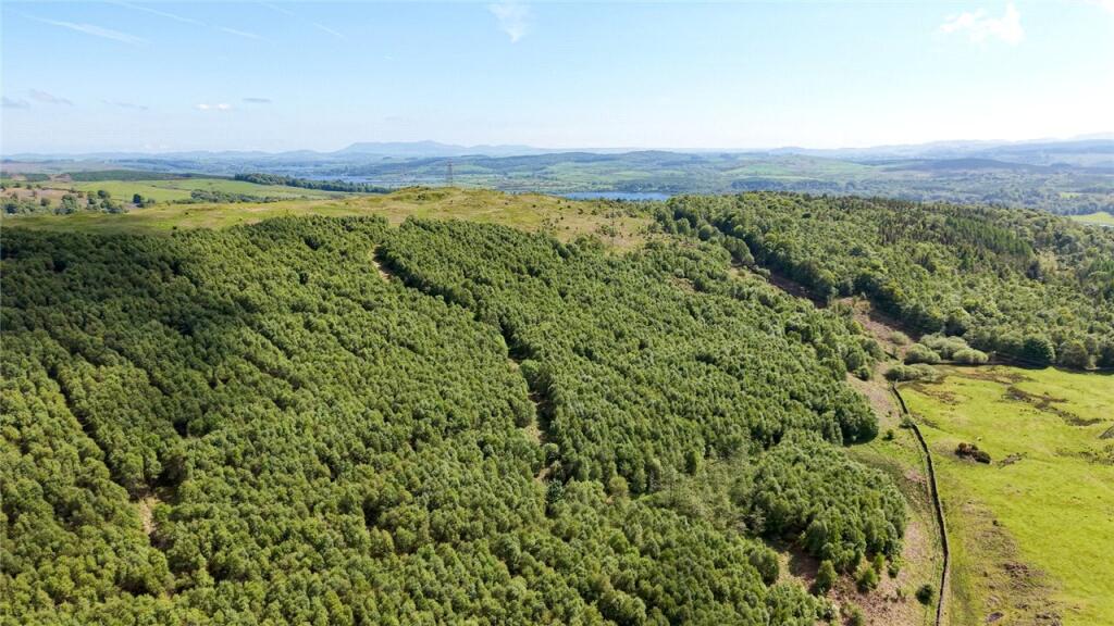 Main image of property: Land and Woodland at Ken View, Parton, Castle Douglas, Dumfries and Galloway, DG7