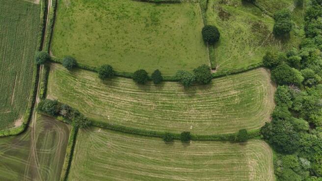 DJI_20250627144022_0927_D.JPG