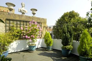 Photo of the property
