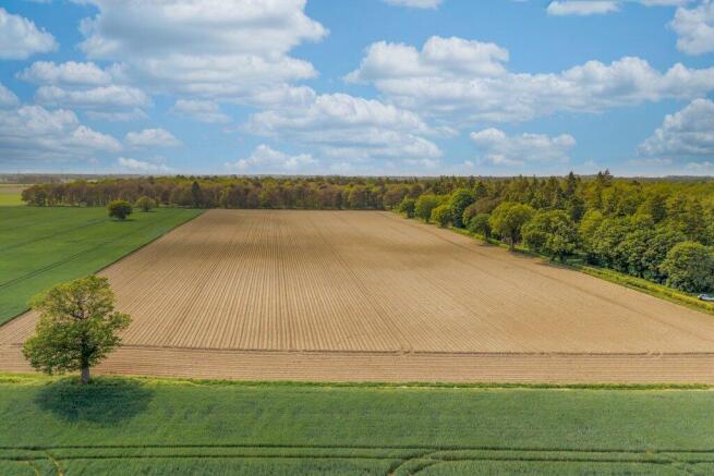 Lot 5