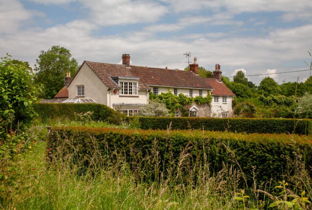 Additional image 11 of Corton