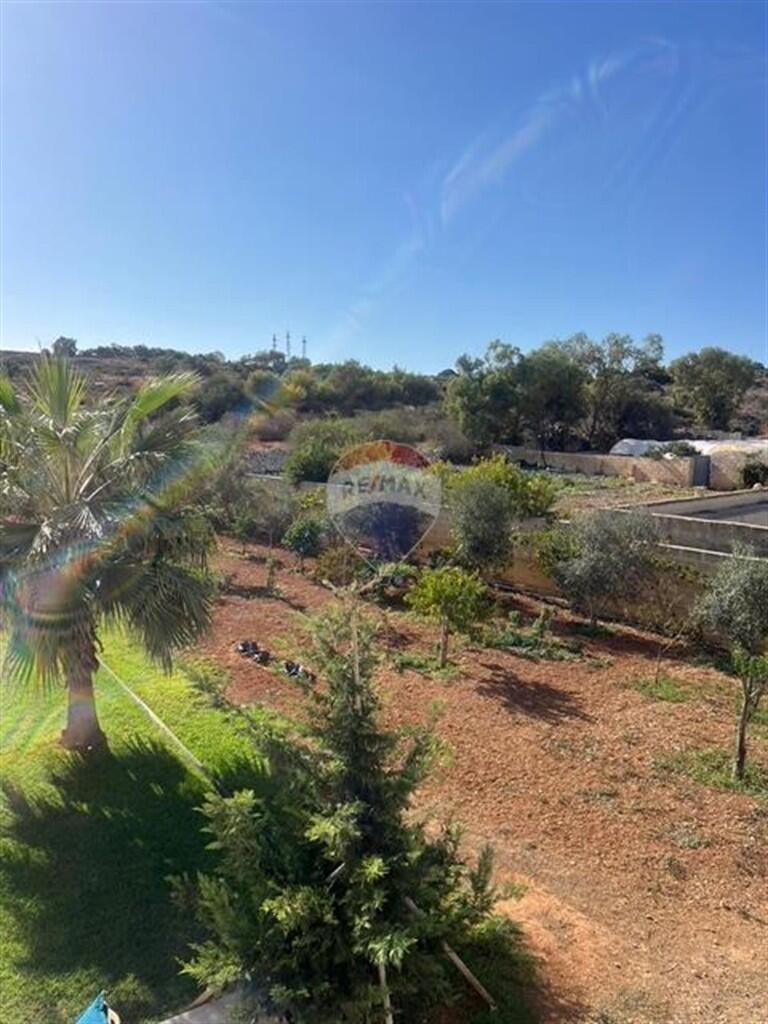 Main image of property: Dingli