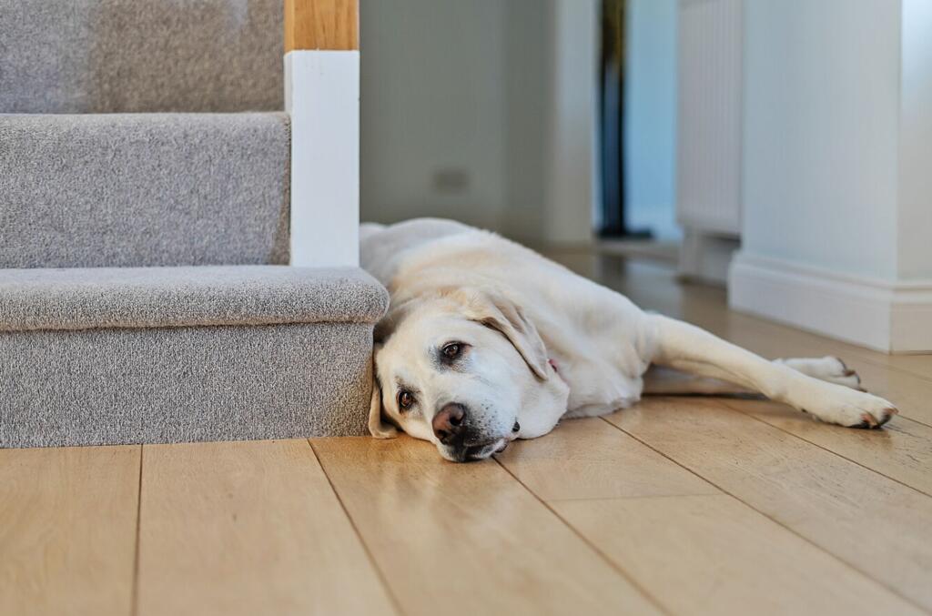 Additional image 3 of Heytesbury Park, Heytesbury, BA12