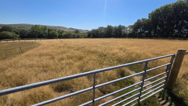 Further Pasture.jpg