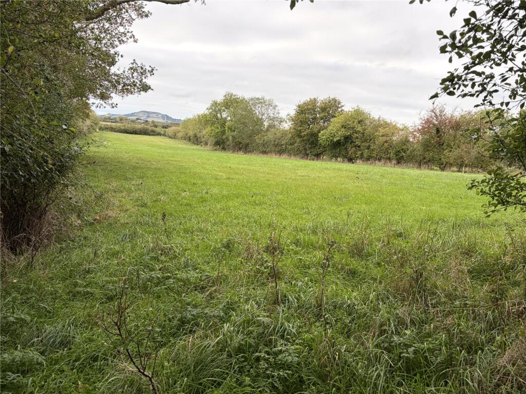 Badgworth, Somerset, BS26 - More