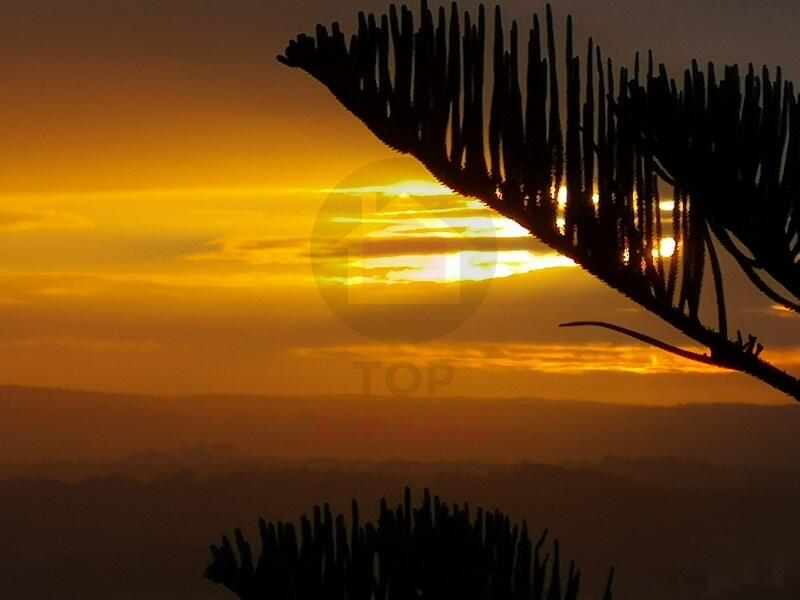 Main image of property: Leiria, Caldas da Rainha