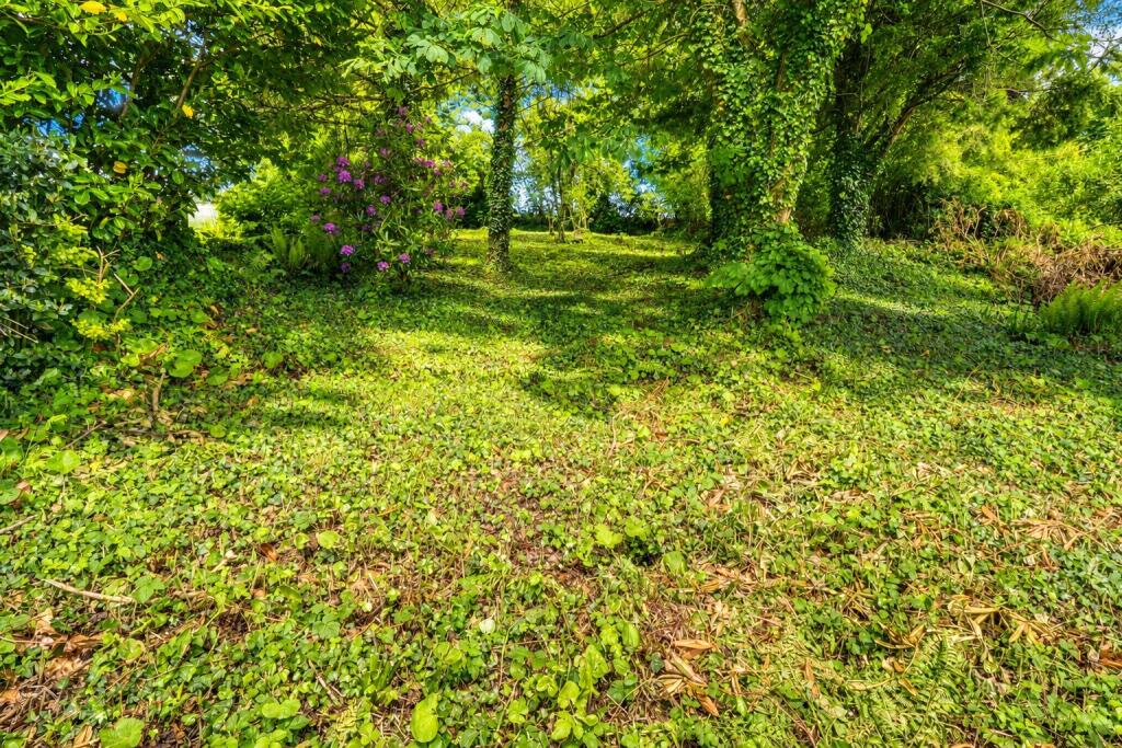 House in North Devon, Goodleigh - View 5