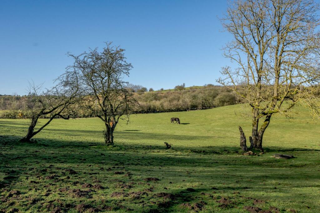 Land