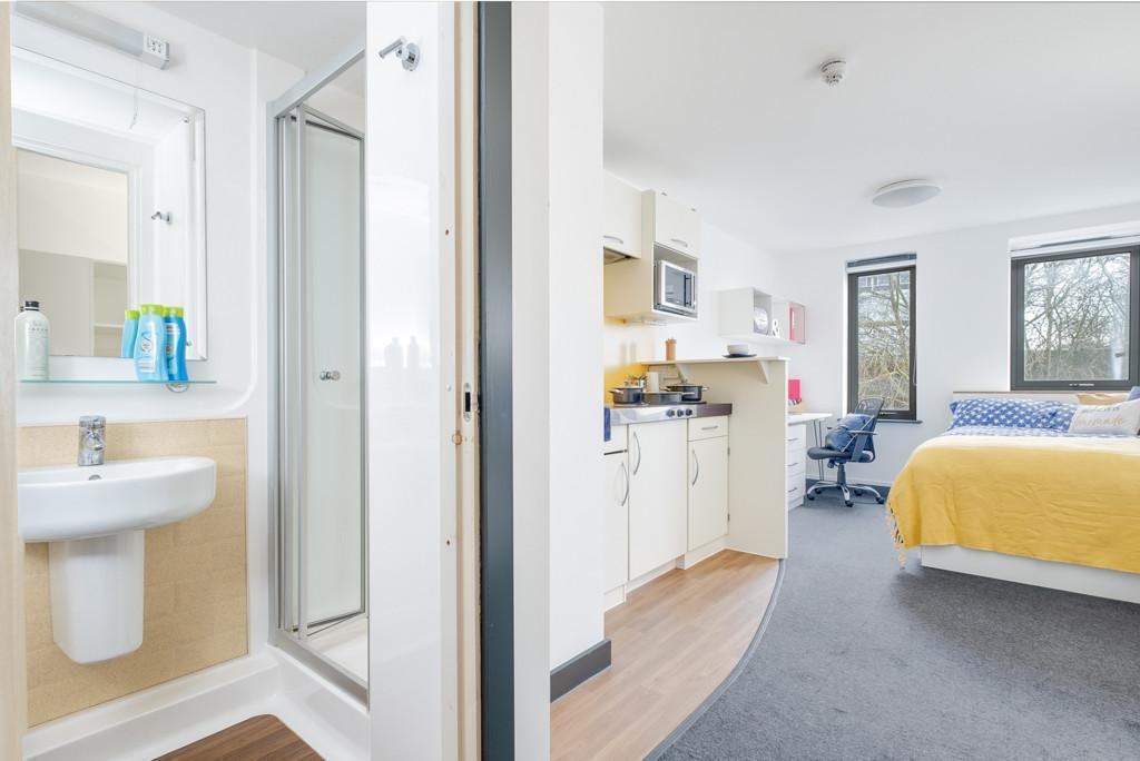 Studio flat for rent