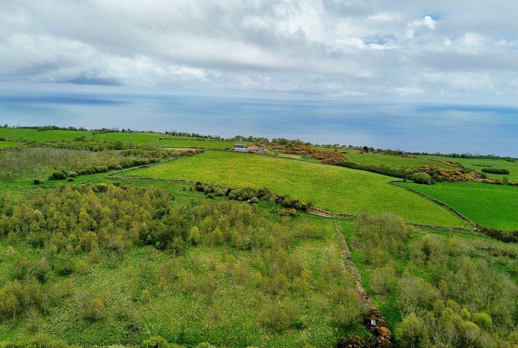 102 acres, Staintondale, Scarborough - View 4