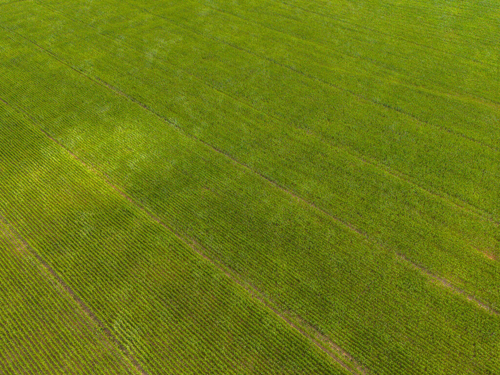 Agricultural Land At Greenhedge Farm, Longmoor Lane, Aslockton, Nottingham, Nottinghamshire, NG13 9DT - More