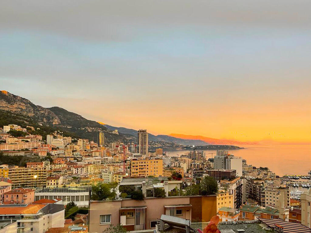 Main image of property: Monaco
