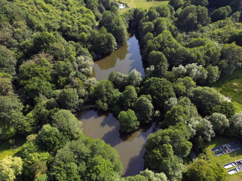 Main image of property: Strawberry Fields Fishery, Hawkenbury Road, Tunbridge Wells, Kent, TN3