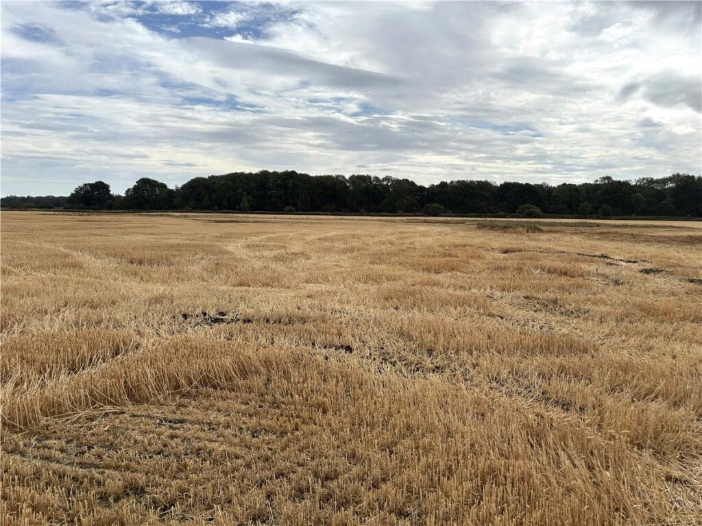 Lot 1 - Land At Owston, Doncaster, South Yorkshire, DN5 - View 3