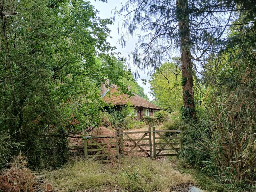 Wisborough Green - View 3