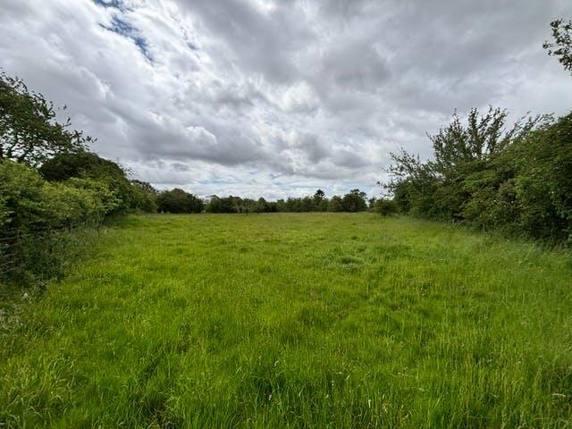 P26-0987_Allimore Lane (15)(1.0).jpg