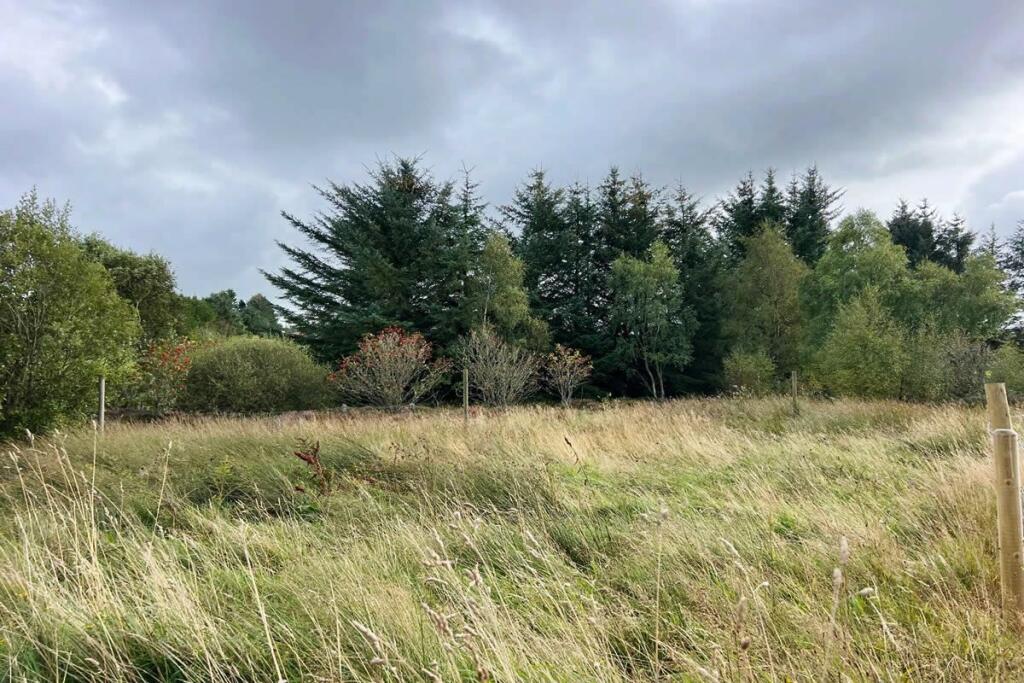 Plot at, Pineview, Redmoss, Drybridge, Buckie, AB565JD - More