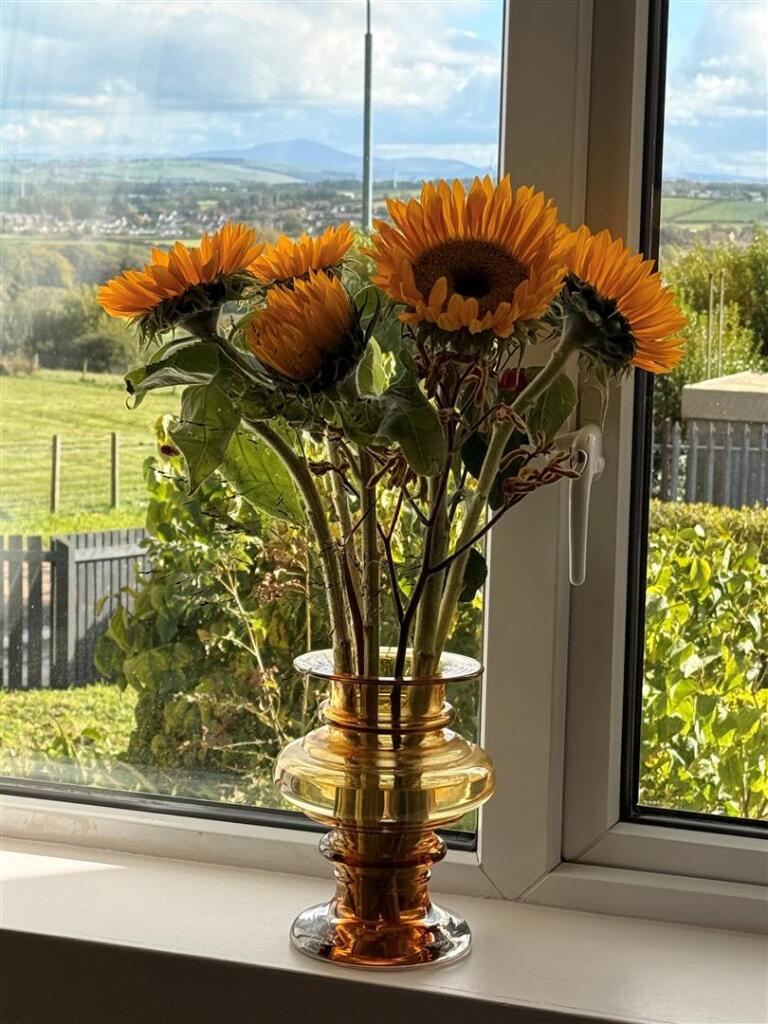 House in Glassford, South Lanarkshire - View 4