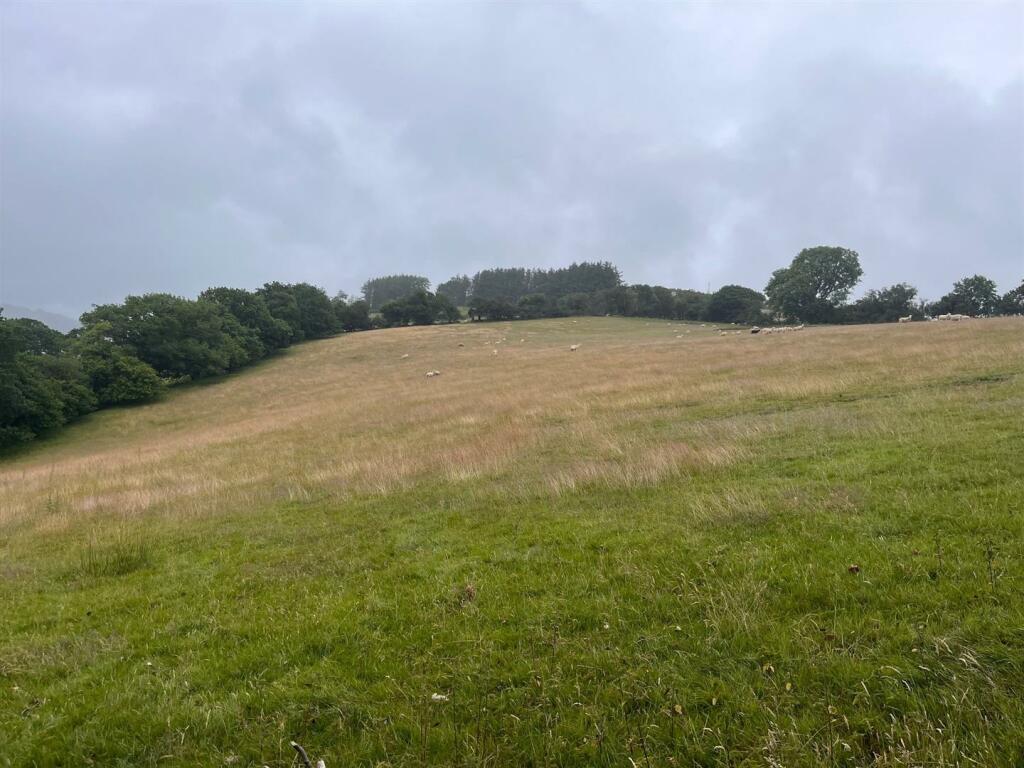 Abermeurig, Lampeter photo 4