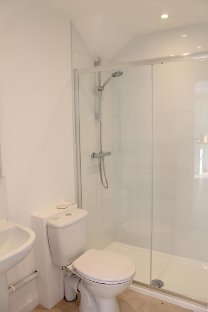 Flat 2 shower room