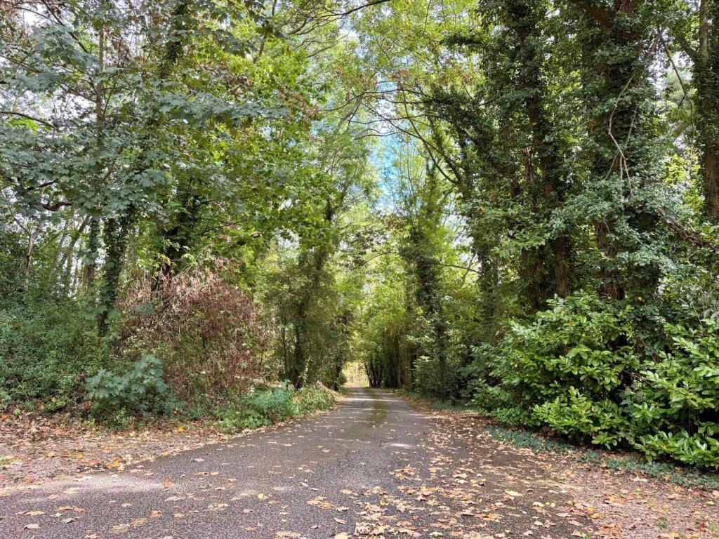 Hall Drive, Burton Lazars photo 4