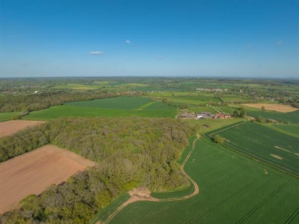 Part of Some 20 Acres of Mature Woodland