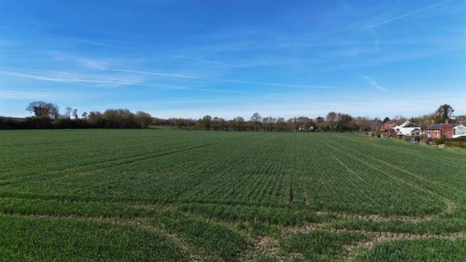 DJI_20260321112911_0176_D.JPG