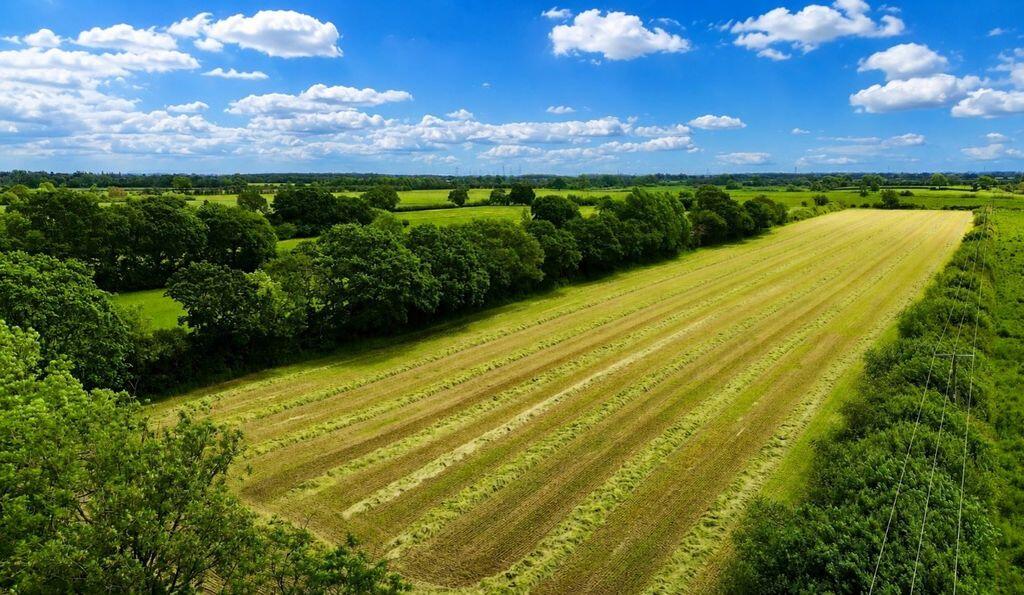 Main image of property: York Road, York