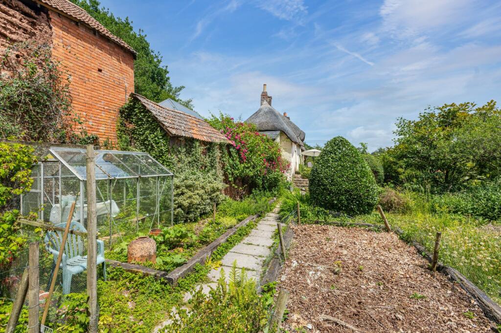 Neopardy, Crediton, Devon, EX17 photo 3