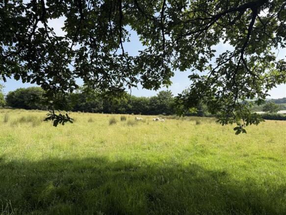 The Land
